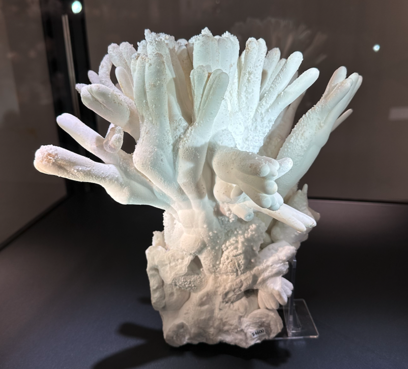 Capture d’écran 2024-02-10 à 03.03.08.png