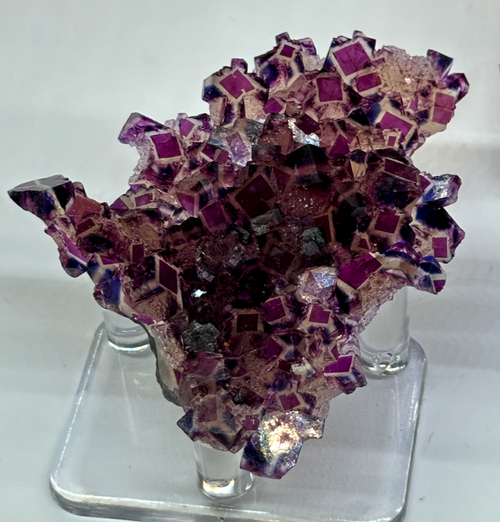 Capture d’écran 2024-02-10 à 03.06.31.png