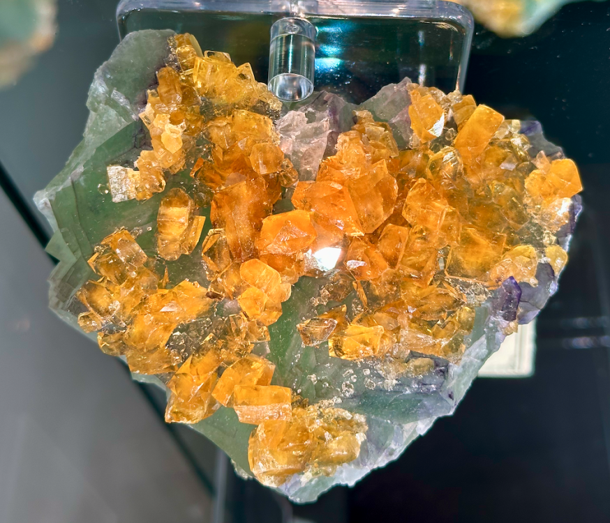 Capture d’écran 2024-02-10 à 03.06.52.png