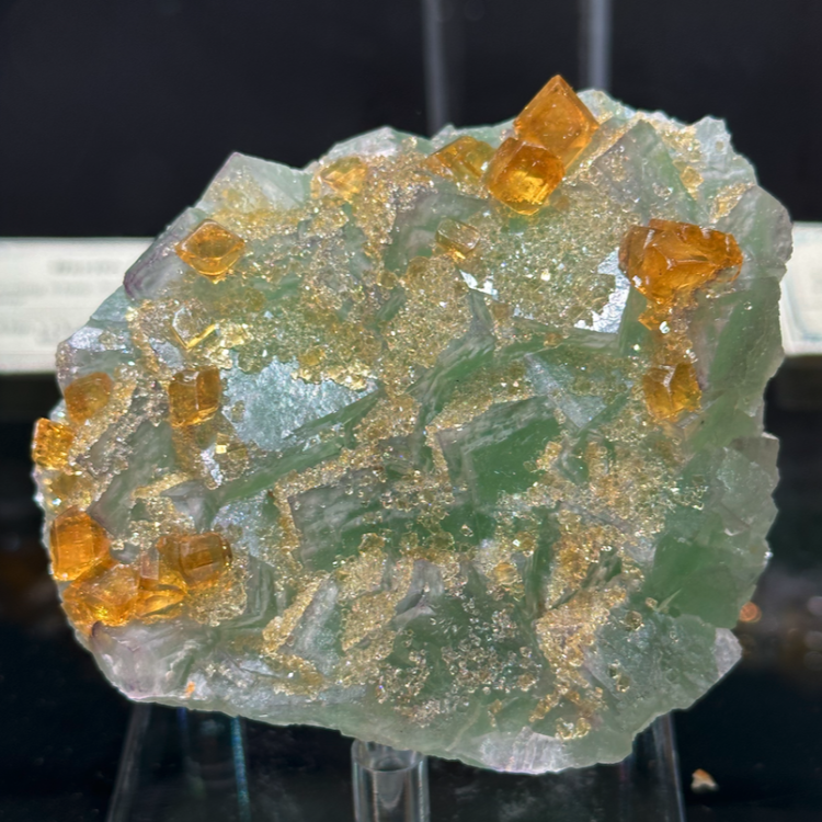 Capture d’écran 2024-02-10 à 03.07.18.png