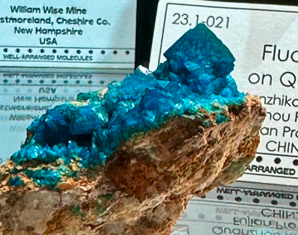 Capture d’écran 2024-02-10 à 03.41.18.png