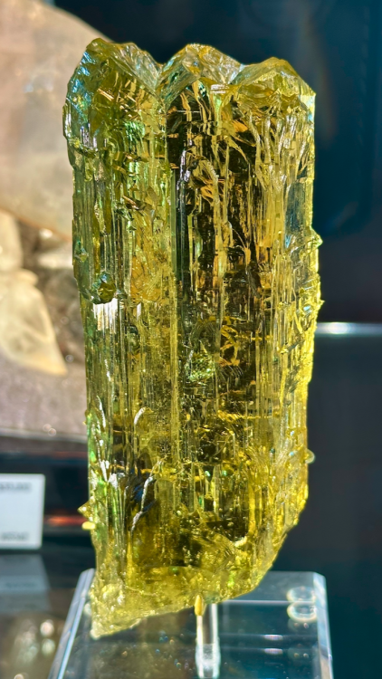 Capture d’écran 2024-02-10 à 04.34.52.png