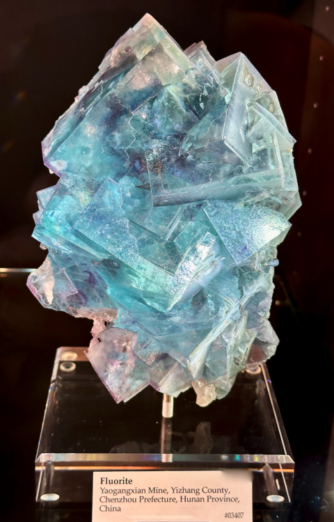 Capture d’écran 2024-02-10 à 04.35.39.png