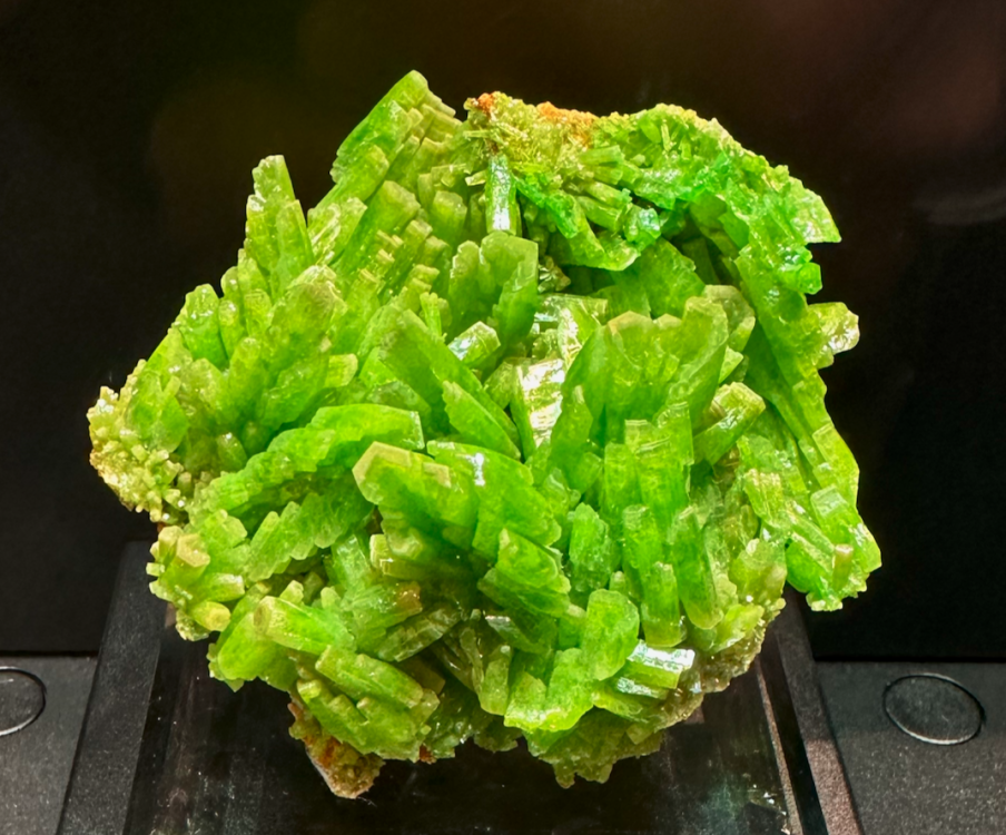 Capture d’écran 2024-02-10 à 04.39.44.png