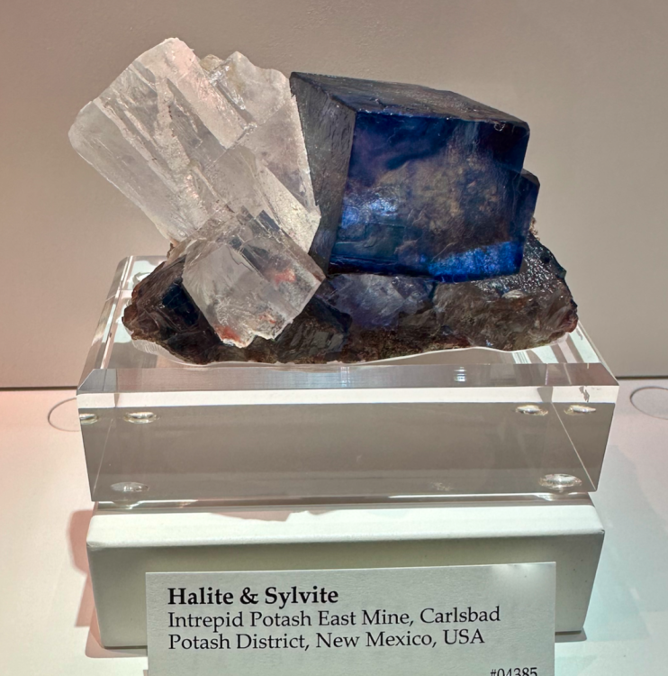 Capture d’écran 2024-02-10 à 04.40.54.png