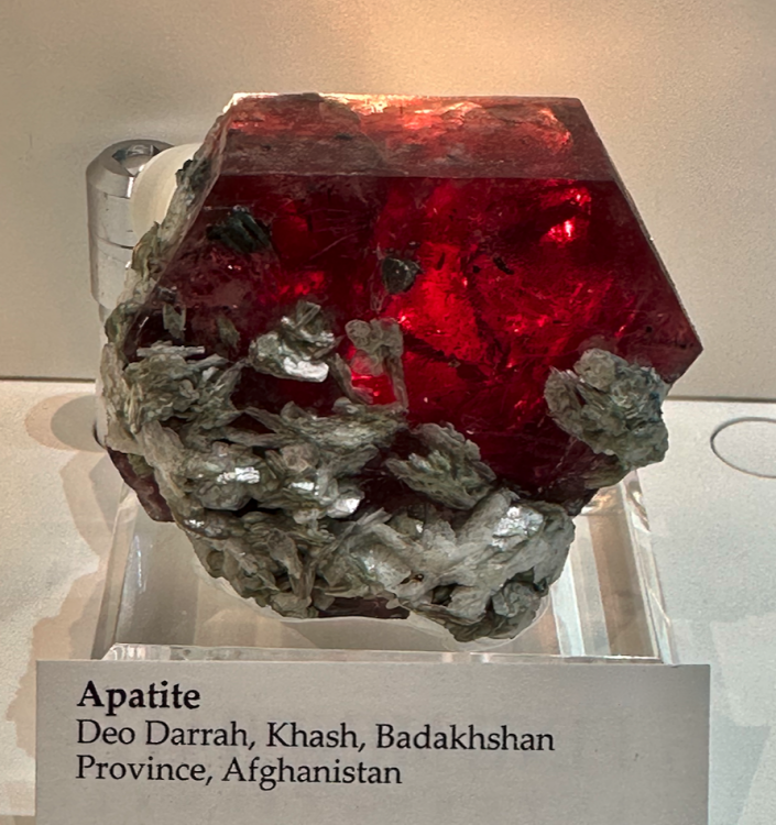 Capture d’écran 2024-02-10 à 04.42.22.png