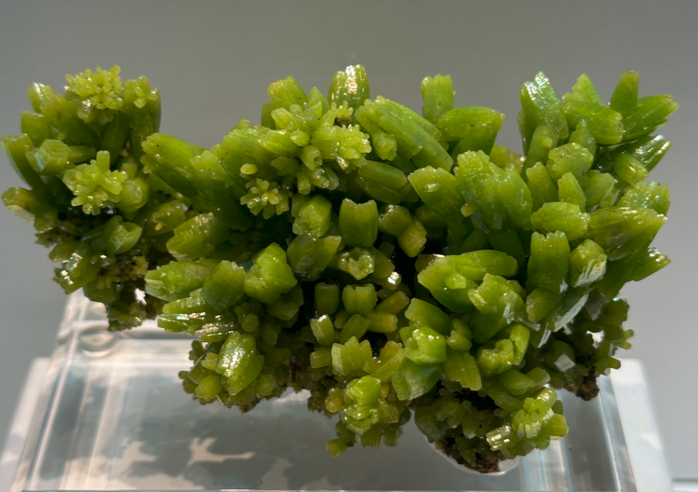 Capture d’écran 2024-02-10 à 04.42.36.png