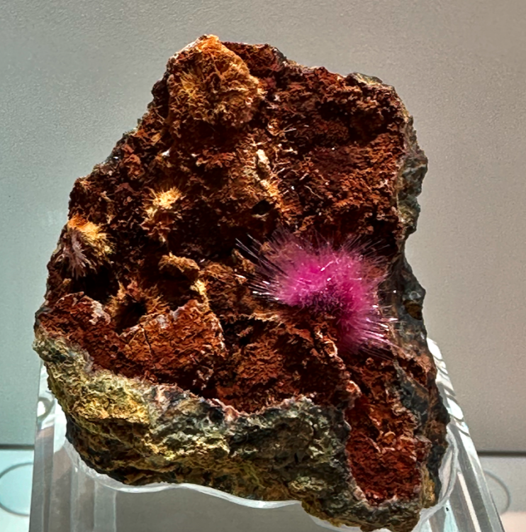 Capture d’écran 2024-02-10 à 04.43.10.png