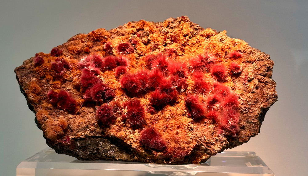 Capture d’écran 2024-02-10 à 04.43.26.png