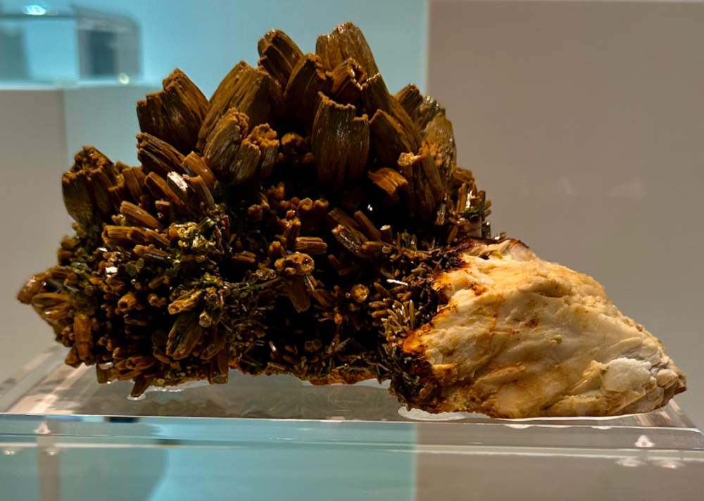 Capture d’écran 2024-02-10 à 04.44.40.png