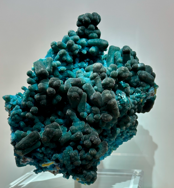 Capture d’écran 2024-02-11 à 05.17.01.png