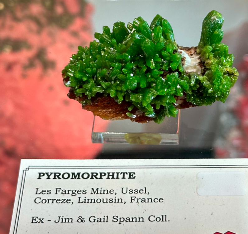 Capture d’écran 2024-02-11 à 05.20.01.png