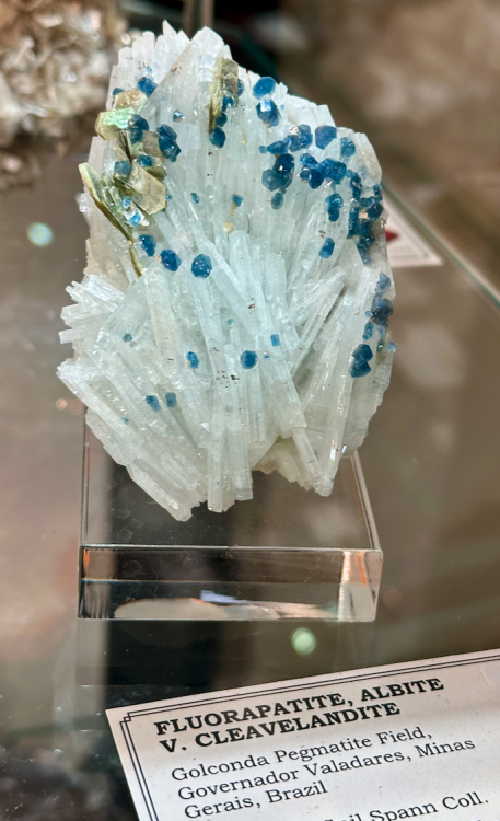 Capture d’écran 2024-02-11 à 05.49.51.png