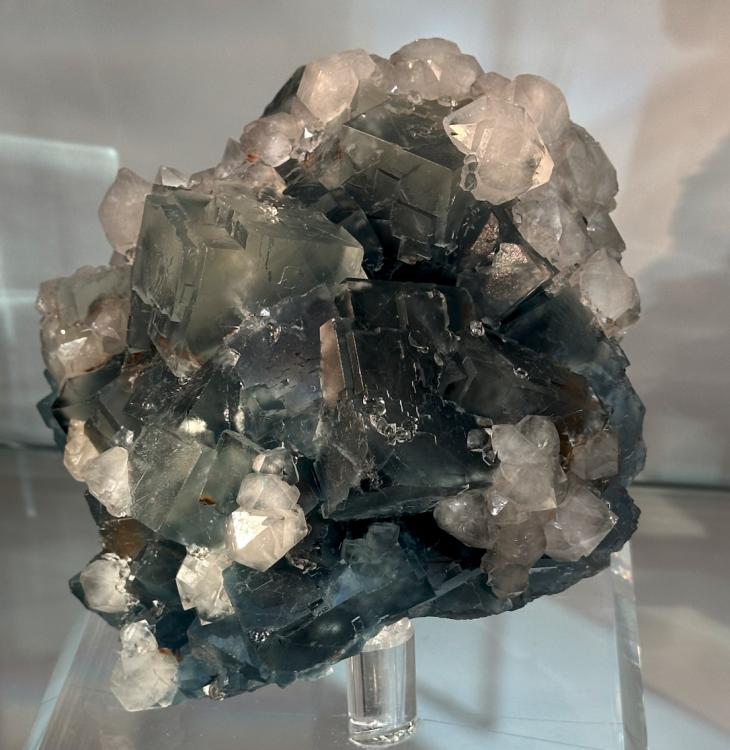 Capture d’écran 2024-02-11 à 05.52.38.png