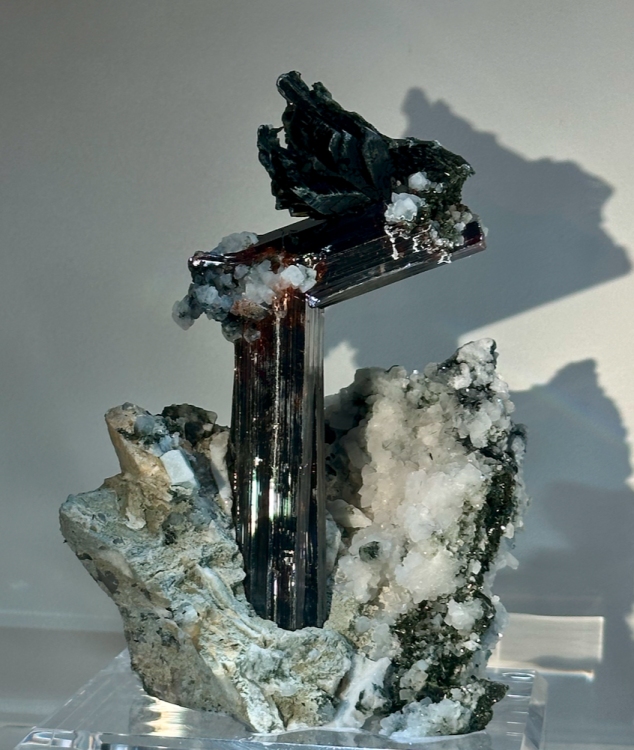 Capture d’écran 2024-02-11 à 06.04.37.png