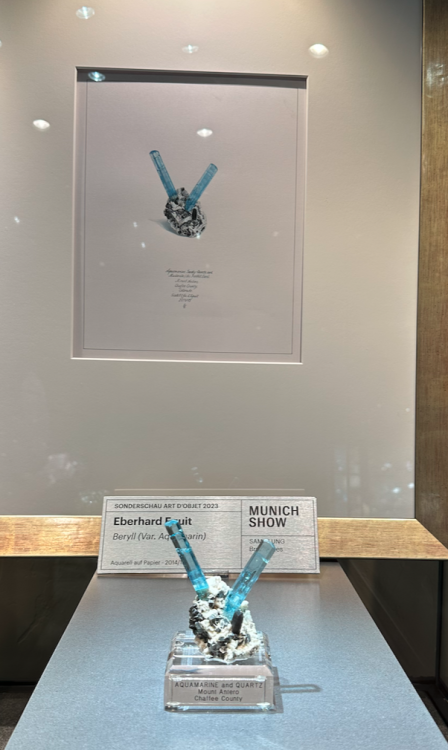 Capture d’écran 2024-02-11 à 06.05.15.png