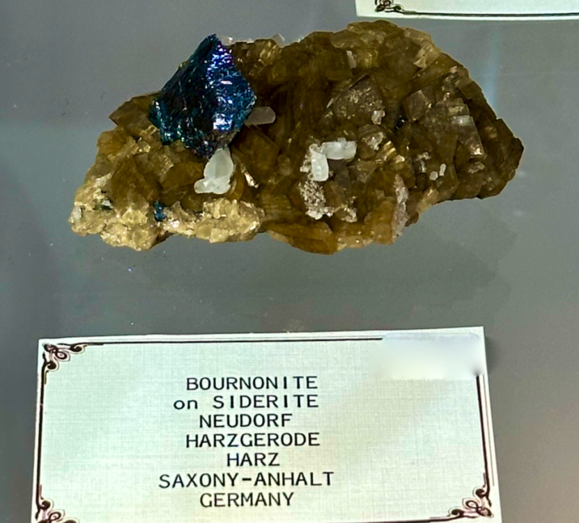 Capture d’écran 2024-02-11 à 06.06.58.png