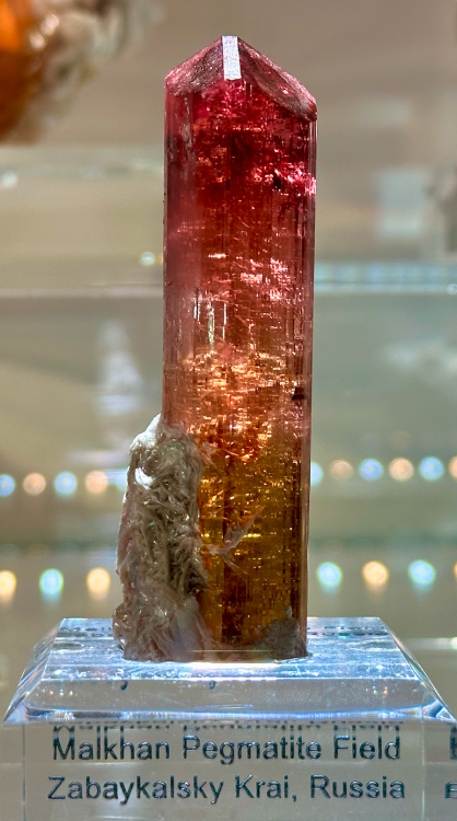 Capture d’écran 2024-02-13 à 02.12.38.png