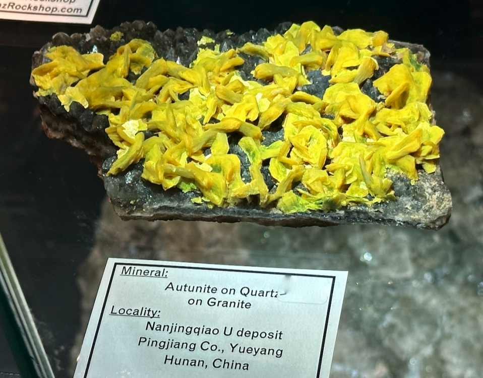 Capture d’écran 2024-02-13 à 02.20.47.png