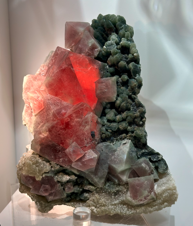 Capture d’écran 2024-02-13 à 02.22.36.png