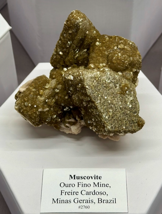 Capture d’écran 2024-02-16 à 08.09.50.png