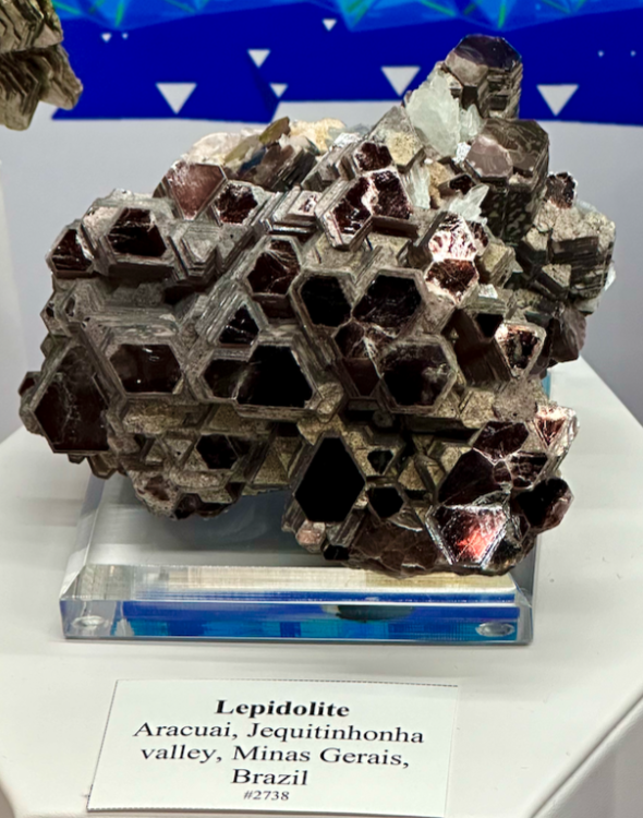 Capture d’écran 2024-02-16 à 08.10.28.png