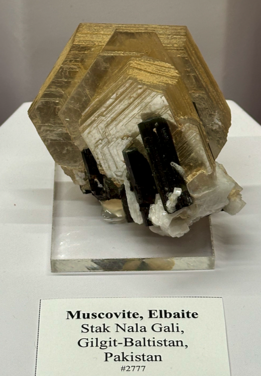 Capture d’écran 2024-02-16 à 08.10.39.png