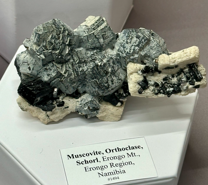 Capture d’écran 2024-02-16 à 08.10.59.png