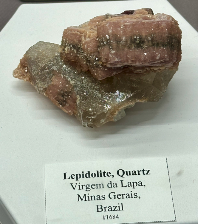 Capture d’écran 2024-02-16 à 08.11.09.png