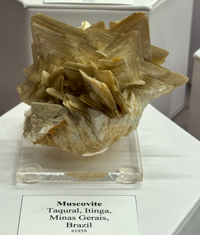 Capture d’écran 2024-02-16 à 08.11.21.png