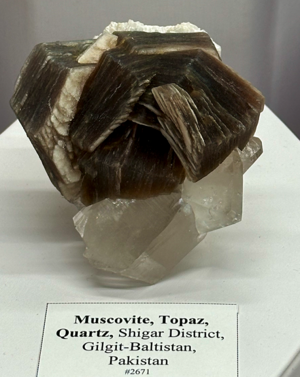 Capture d’écran 2024-02-16 à 08.11.36.png