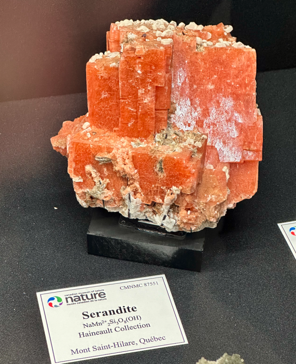 Capture d’écran 2024-02-17 à 21.51.29.png