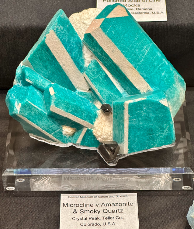 Capture d’écran 2024-02-17 à 21.52.05.png