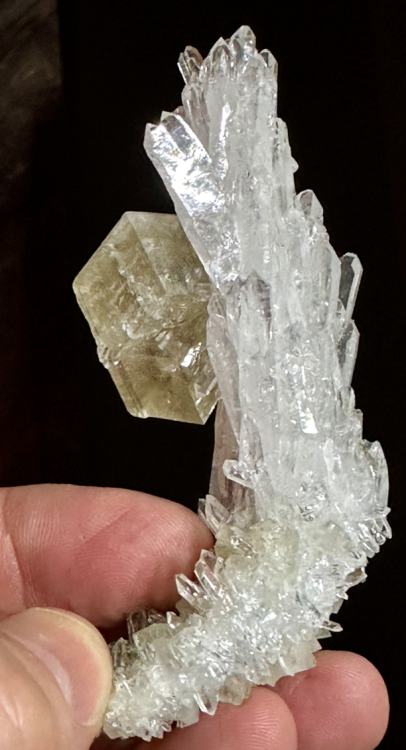 Capture d’écran 2024-02-18 à 16.33.36.png