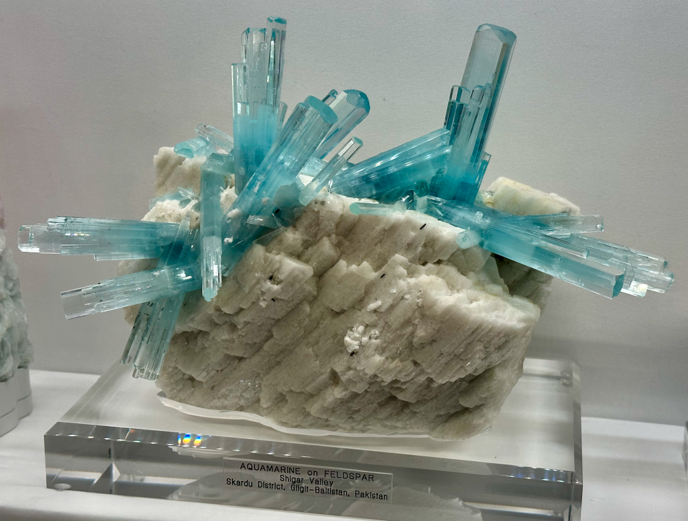 Capture d’écran 2024-02-19 à 13.21.15.png