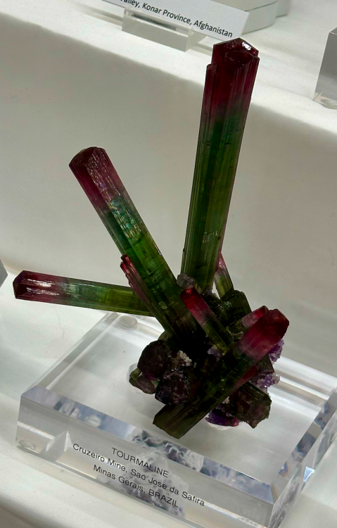 Capture d’écran 2024-02-19 à 13.21.37.png