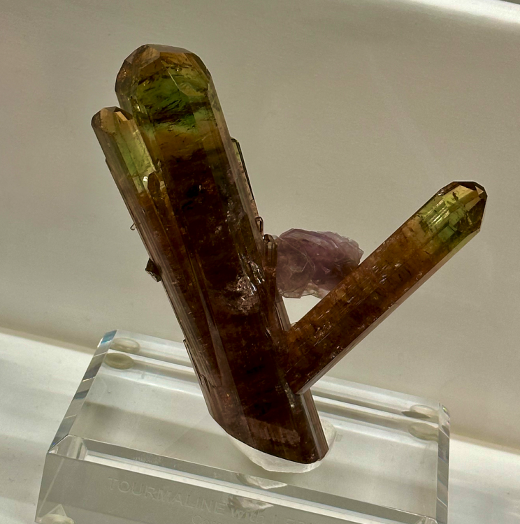 Capture d’écran 2024-02-19 à 13.21.50.png