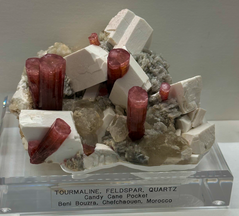 Capture d’écran 2024-02-19 à 13.22.23.png