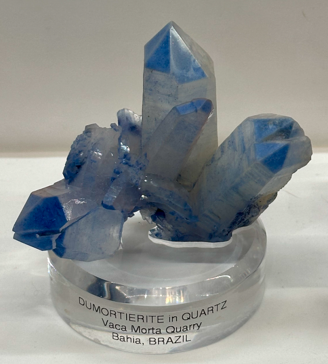 Capture d’écran 2024-02-19 à 13.22.39.png