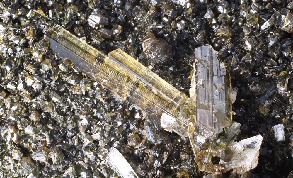 Diopside et adulaire sur chlorite Luz Saint Sauveur FOV 17 mm 001.jpg