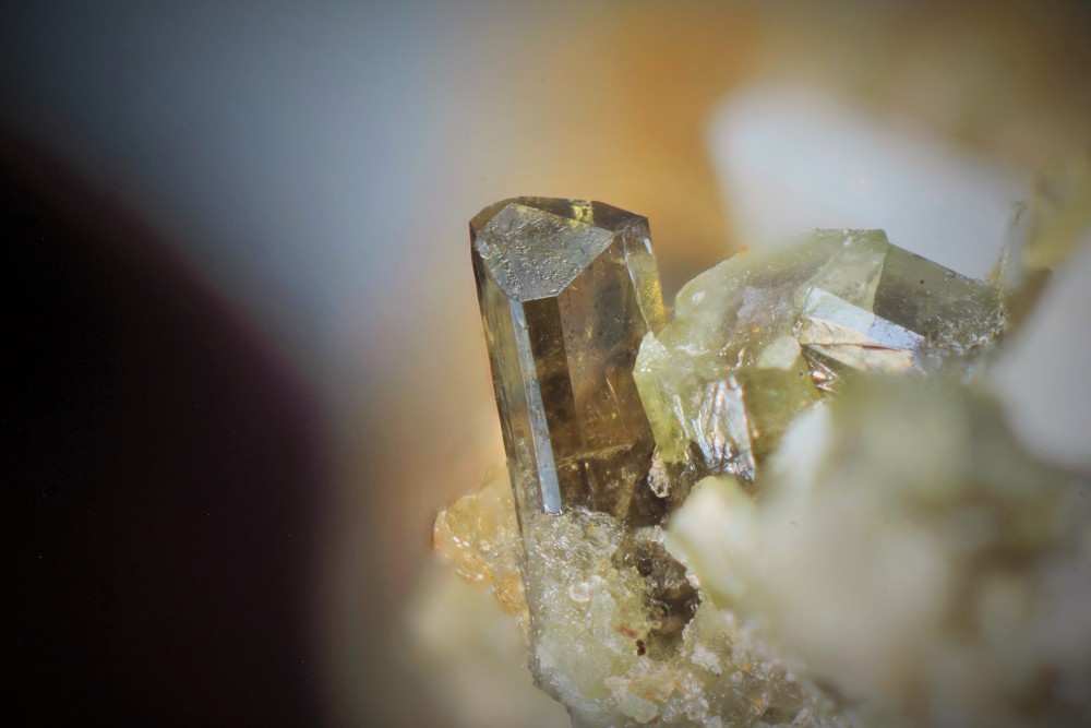 Epidote pic d'Izes FOV 5 mm 002.JPG