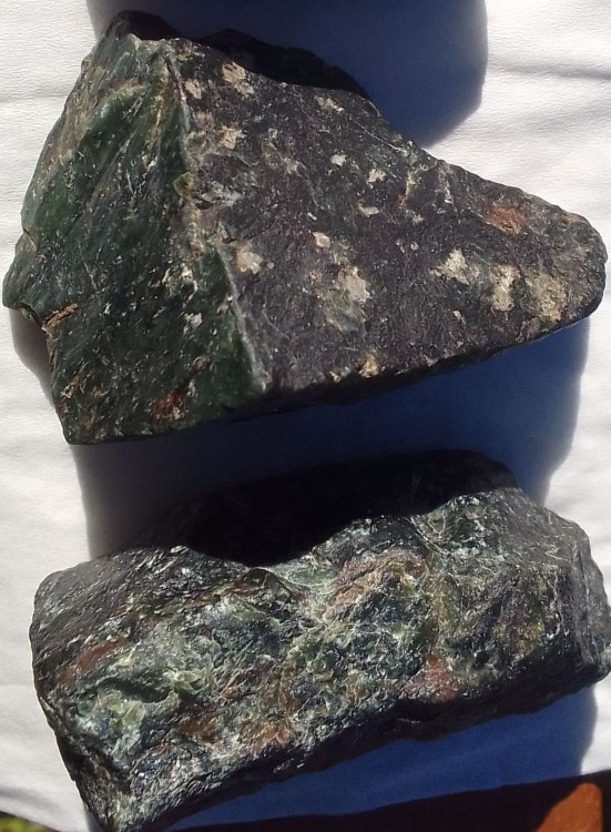 IMG_20231105_134142~4 (1).jpg