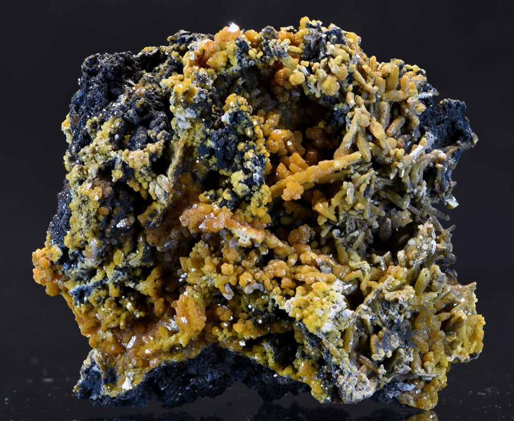 Maroc2023 Taouz F12 3 s6.jpg