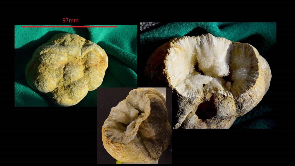 Nouveau projet (2).jpg