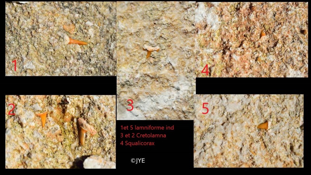 Nouveau projet-42.jpg