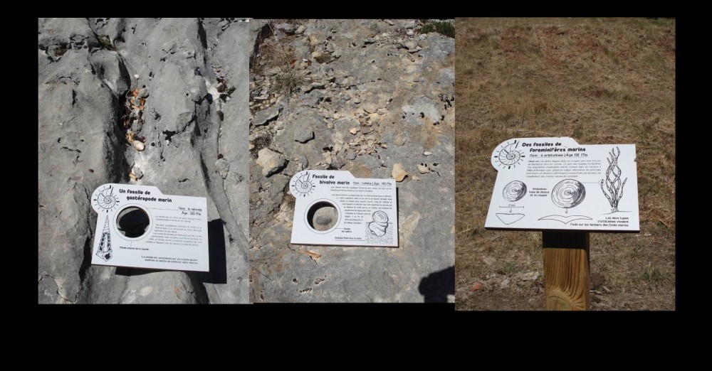 Nouveau projet-44.jpg