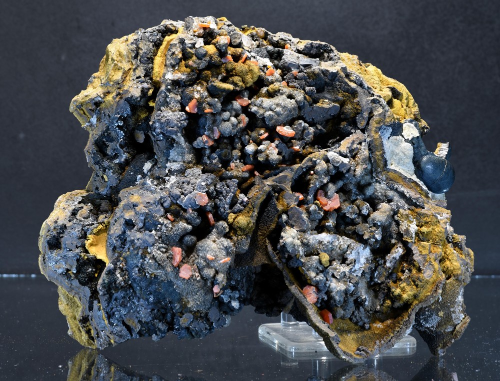 Taouz F12 Vana Goeth lq s3.JPG