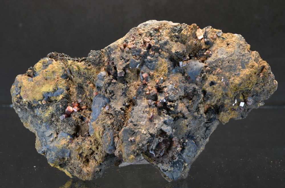 Taouz F12 lq Vana Goeth.jpg