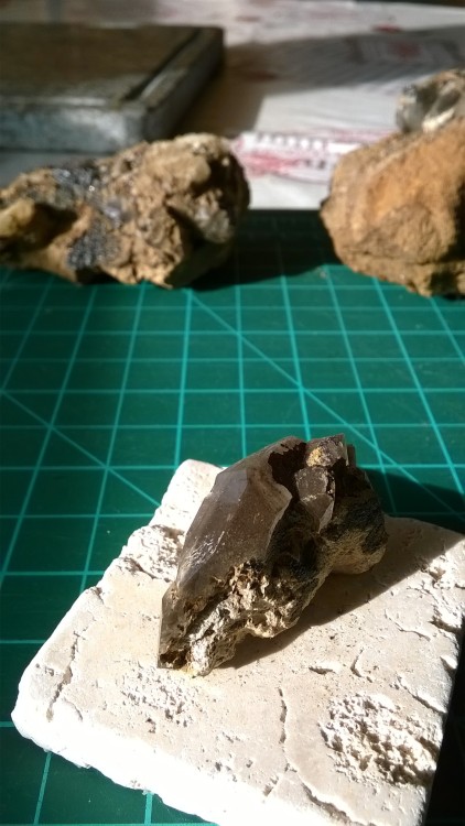 WP_20150116_15_47_00_Pro - Copie.jpg