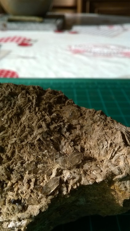 WP_20150116_17_18_30_Pro - Copie.jpg